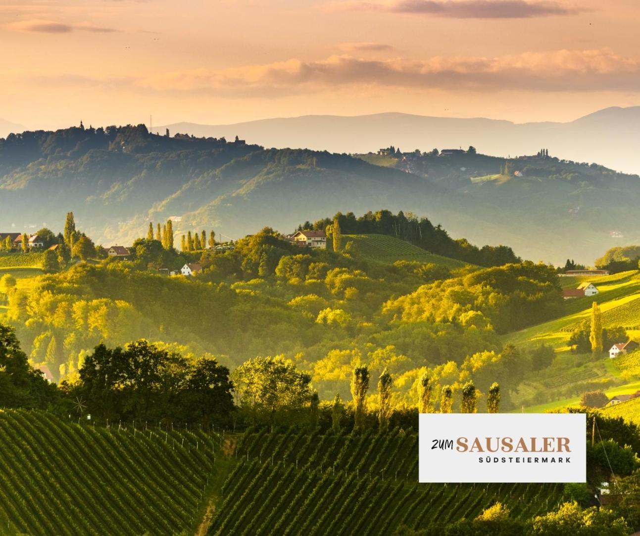 Zum Sausaler - Boutique Hotel-Pension Suedsteiermark Sankt Nikolai im Sausal Zewnętrze zdjęcie