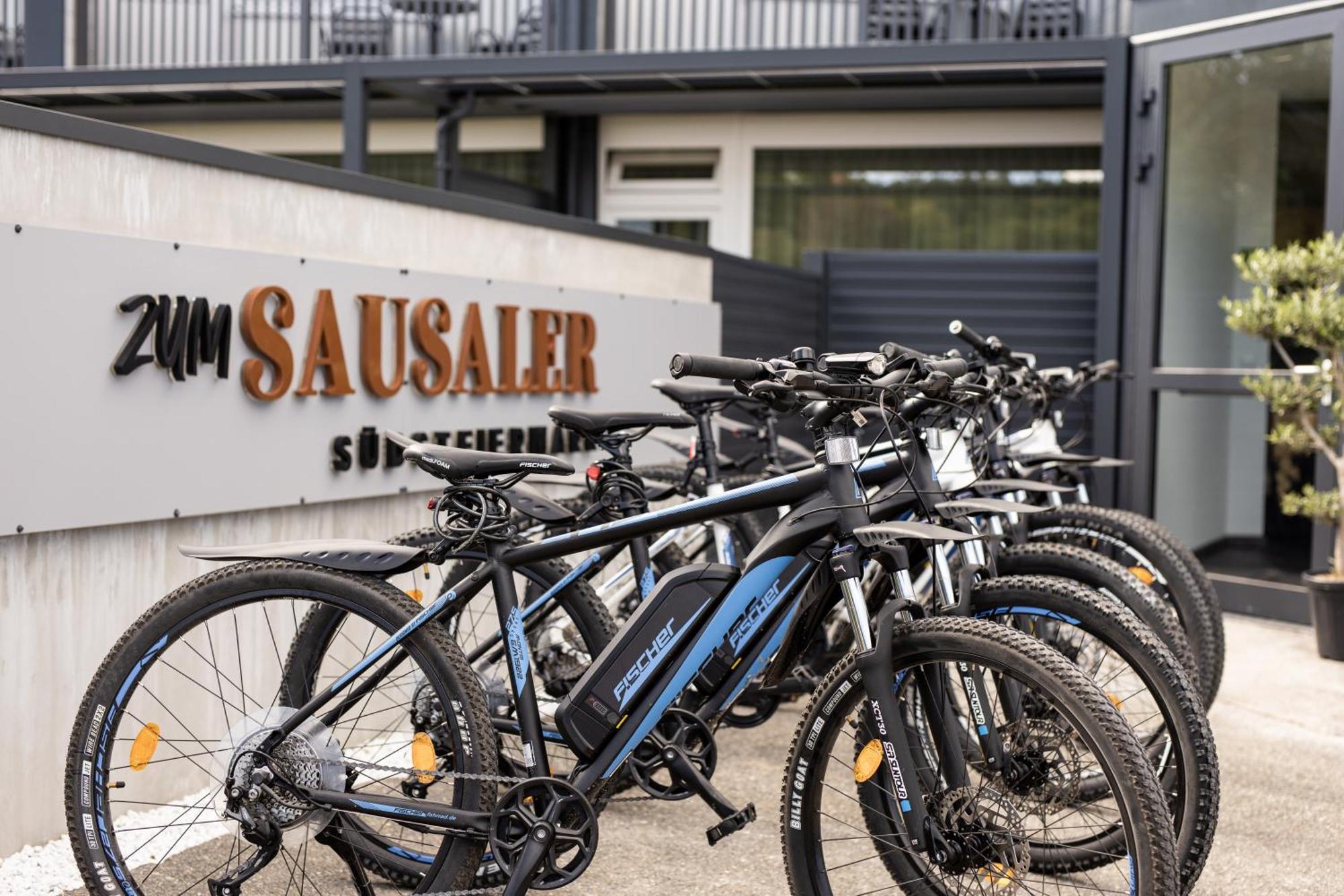 Zum Sausaler - Boutique Hotel-Pension Suedsteiermark Sankt Nikolai im Sausal Zewnętrze zdjęcie